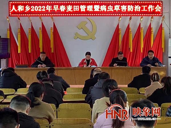 技术支持与防治服务 乡村发展的新引擎