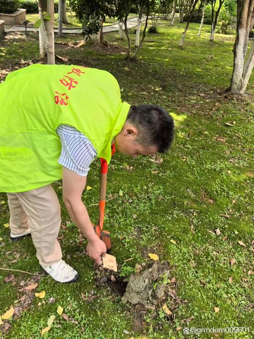 静安区白蚁防治 全面防治服务与专业技术支持指南
