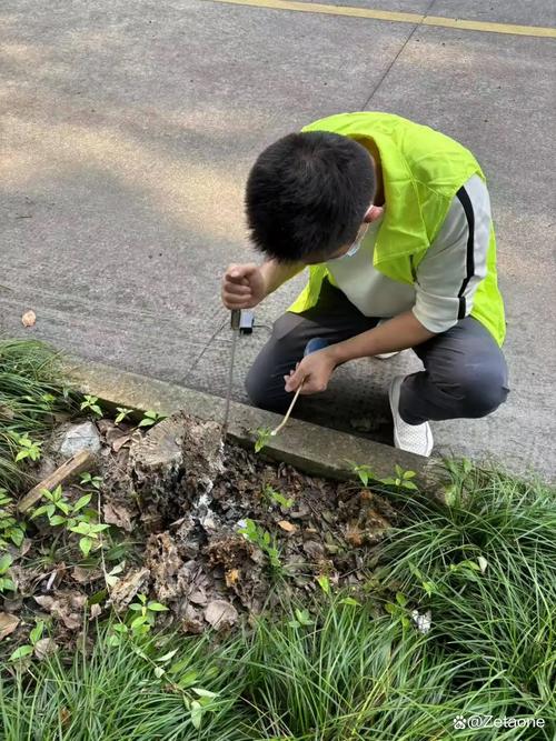 选择官方防治机构 获得本地化技术支持与防治服务的关键