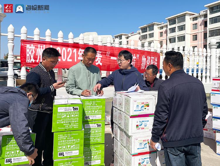 提前应对小麦病虫害 胶州市农业农村局发放“一喷三防”物资并提供防治服务及技术支持