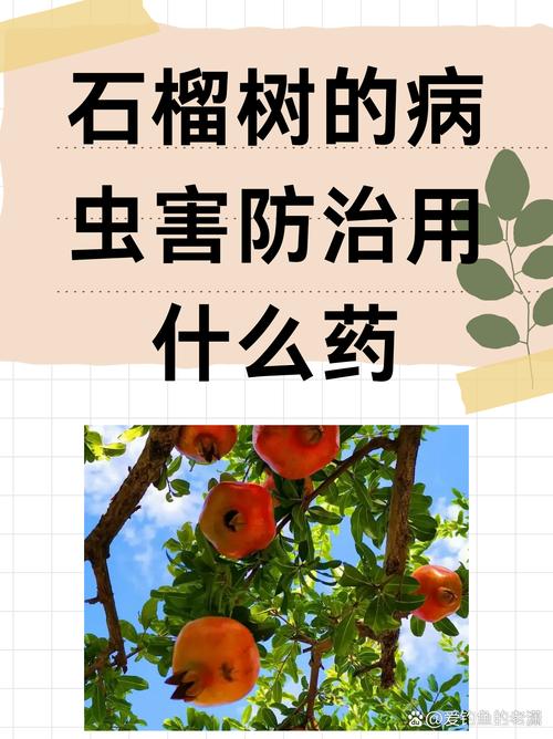 石榴树病虫害防治全攻略 用药指南、防治服务与技术支持